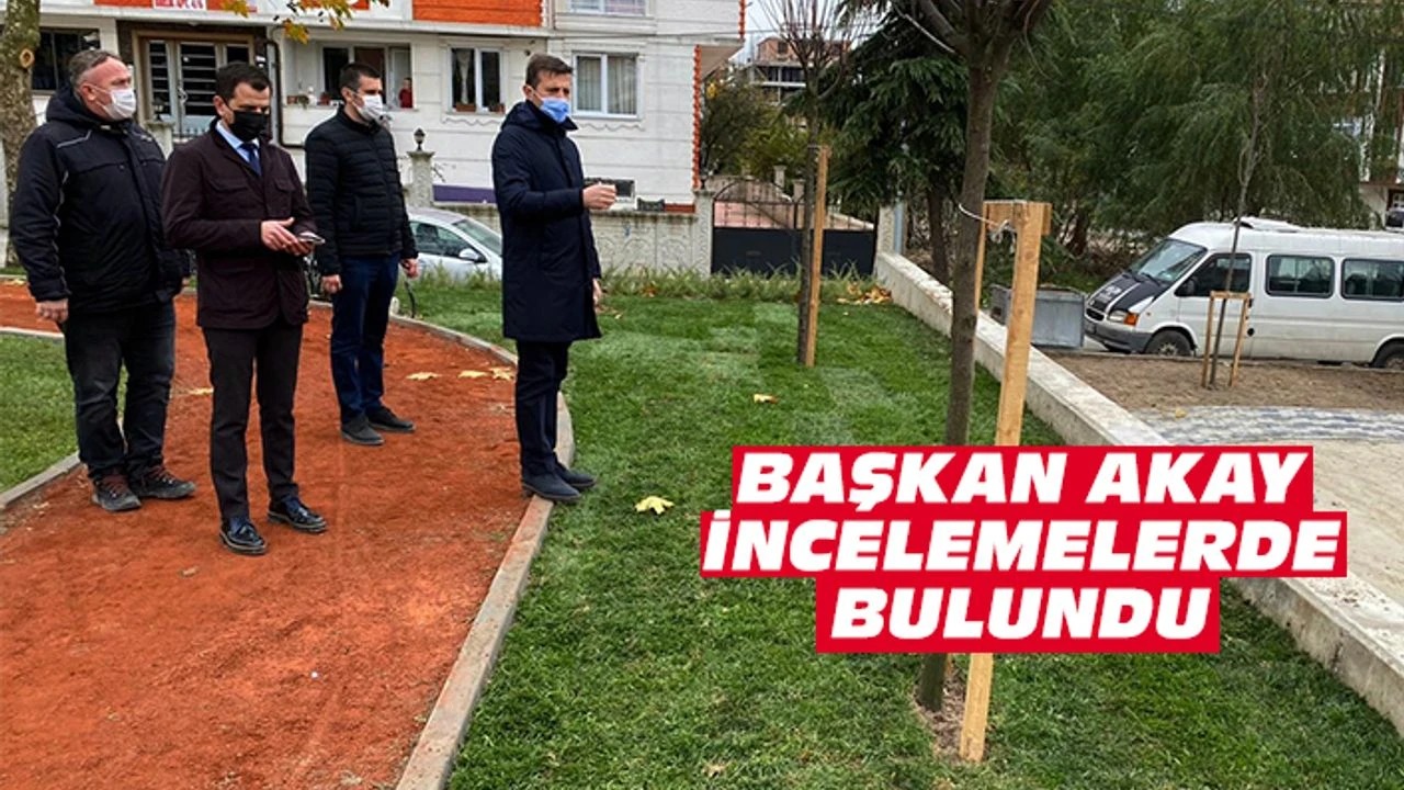 YENİ YAŞAM ALANLARI TAMAMLANMAK ÜZERE